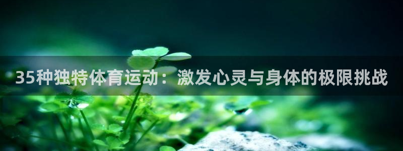 乐视体育股票：35种独特体育运动：激发心灵与身体的极限挑战