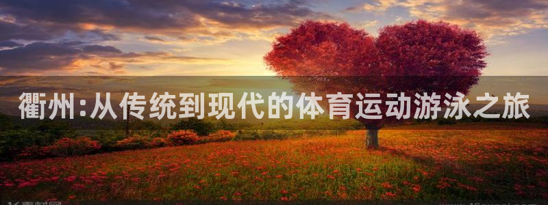 乐视体育免费直播：衢州:从传统到现代的体育运动游泳之旅