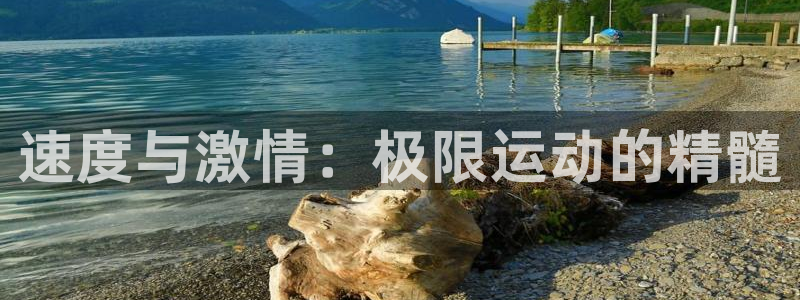 乐视体育结局：速度与激情：极限运动的精髓