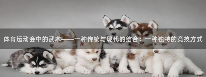 乐视体育撕名牌：体育运动会中的武术——一种传统与现代的结合：一种独特的竞技方式