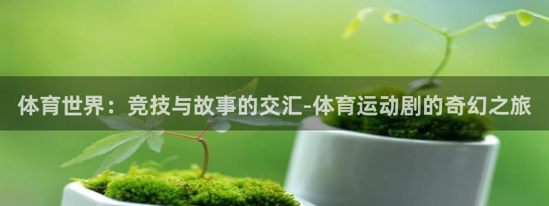 乐视体育刘阳：体育世界：竞技与故事的交汇-体育运动剧的奇幻之旅
