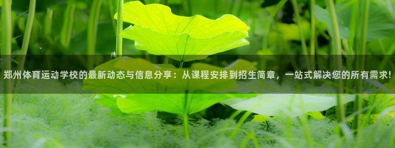 乐视体育篮球比赛直播：郑州体育运动学校的最新动态与信息分享：从课程安排到招生简章，一站式解决您的所有需求!