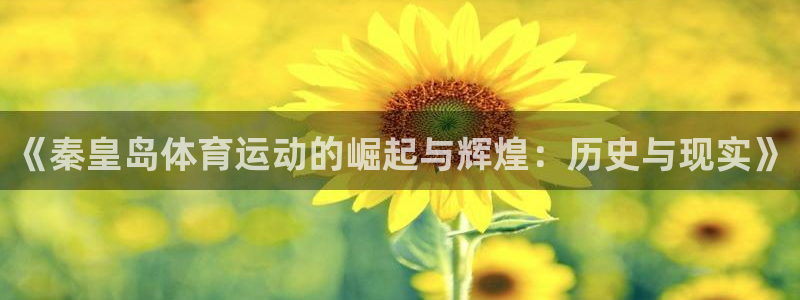 乐视体育生态中心冠名多少钱：《秦皇岛体育运动的崛起与辉煌：历史与现实》